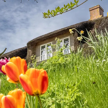 Westertilli 8 Reetdachhaus Mit Garten 펜션